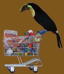 Bird cart